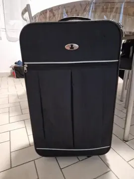 valise