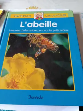 livre sur les abeilles