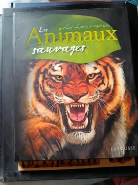 livre sur les animaux sauvages