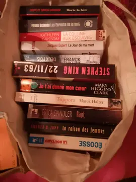 lot de livres ( grands formats)