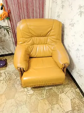 Fauteuil