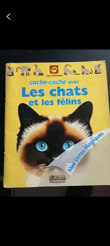 livre enfant