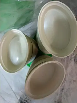 Petites terrines en plastique