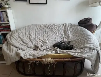 Papasan en mauvais état à donner