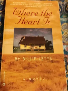 roman langue anglaise