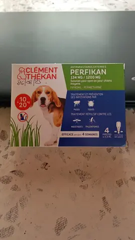 Anti-puces Chien