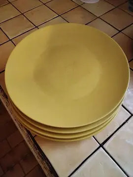 4 assiettes plates diam 27