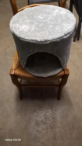 une niche à chat