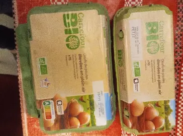 Boîte à oeufs vide - différentes tailles