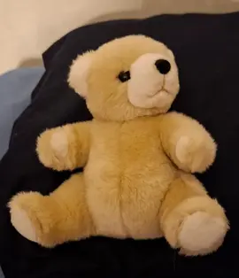 Joli petit nounours en peluche