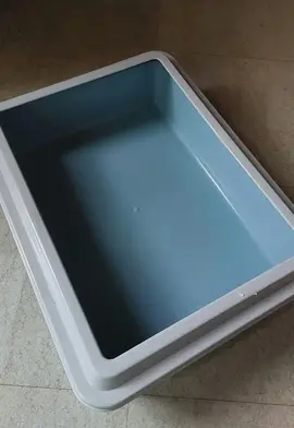 Litière pour petit chat