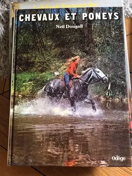 chevaux et poneys