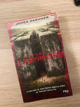 Le Labyrinthe (T1)