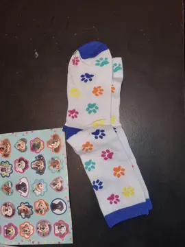 chaussettes pattes chien