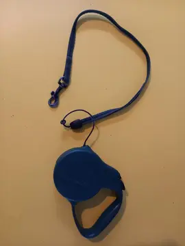 laisse pour chat ou petit chien