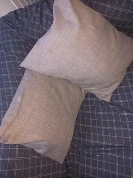 lot deux coussins rectangles pour canapé