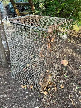 cage métal fer pour chien