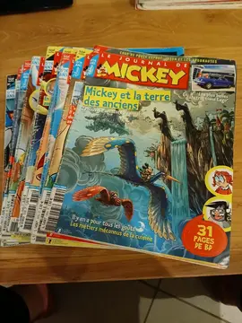 lot 2 le journal de Mickey