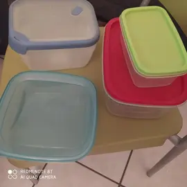Tupperwares en plastique