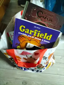 lot de livres enfants