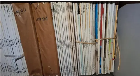 revues bricolage System D