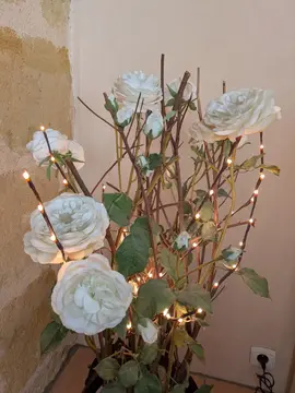 rosier éclairé décoration intérieure