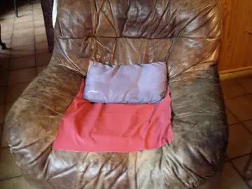 grand fauteuil en cuir