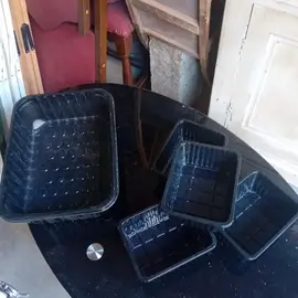 Barquettes en plastique