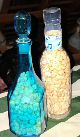 bouteille avec coquillage