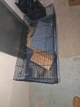 cage