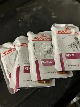 sachet en pâtée pour chiens