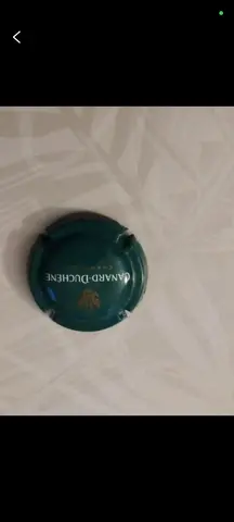 capsule canard Duchêne