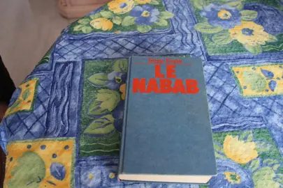 roman "Le Nabab" d'Irène Frain