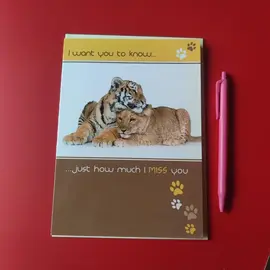 Une carte avec 2 gros chats et son enveloppe neuve