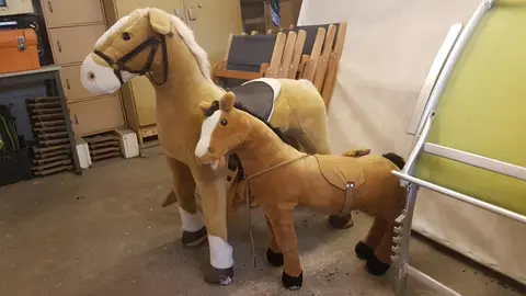 Chevaux pour enfants