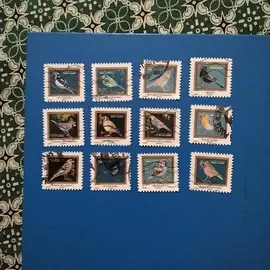 donne timbres oiseaux