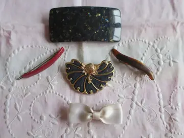 Lot de 5 barrettes pour cheveux