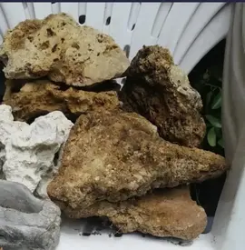 Grosses pierres vivarium aquarium ou deco