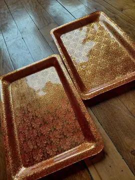 2 plateaux en plastique