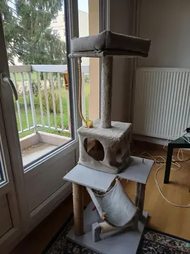 arbre à chat