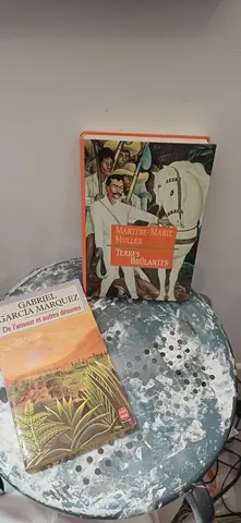 Lot 2 livres Mexique