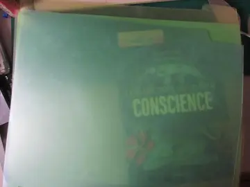 3 intercalaires rigides translucides jaune/vert