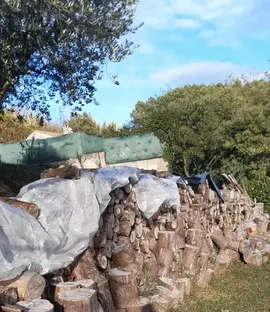 Bois coupés en billots