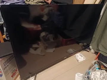 Télé TCL écran cassé