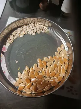 graines de Betternut et Potiron