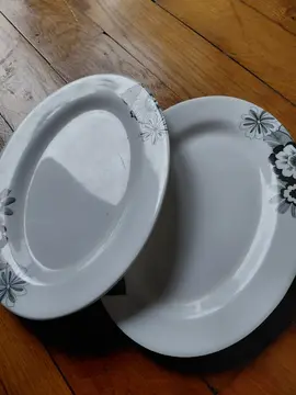 2 petits plateaux en plastique