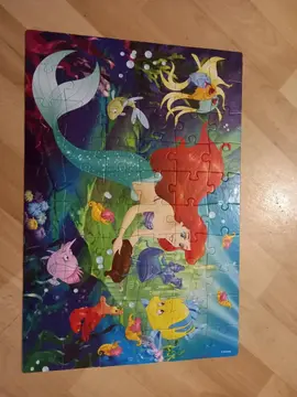 Puzzle Ariel