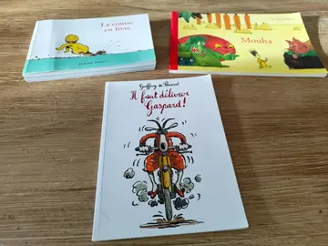 Lot de 3 livres "L'école des loisirs"