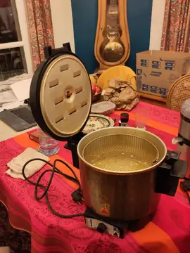 friteuse électrique seb