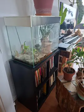 aquarium ciano 100 litres
